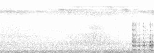 Common Gallinule - ML20348761