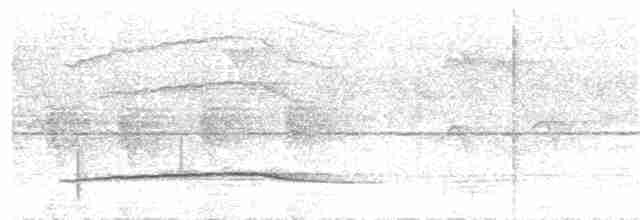 Martin-chasseur mignon (groupe pulchella) - ML203489671