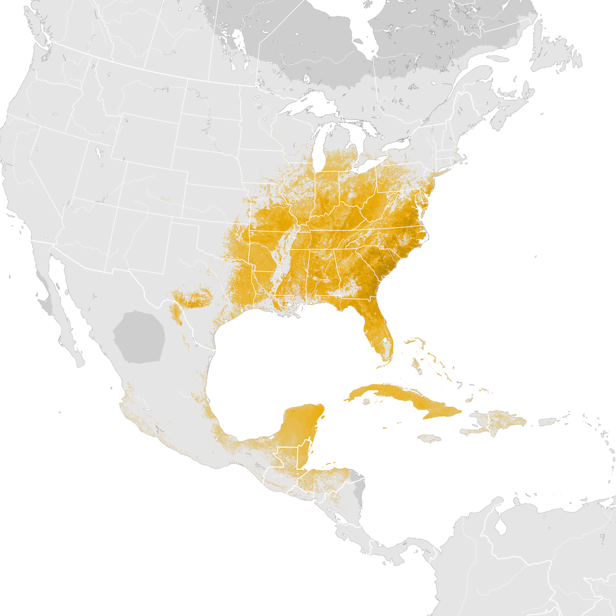 Yellow-throated Warbler - Abundance Map: Pre-breeding Migration - EBird ...