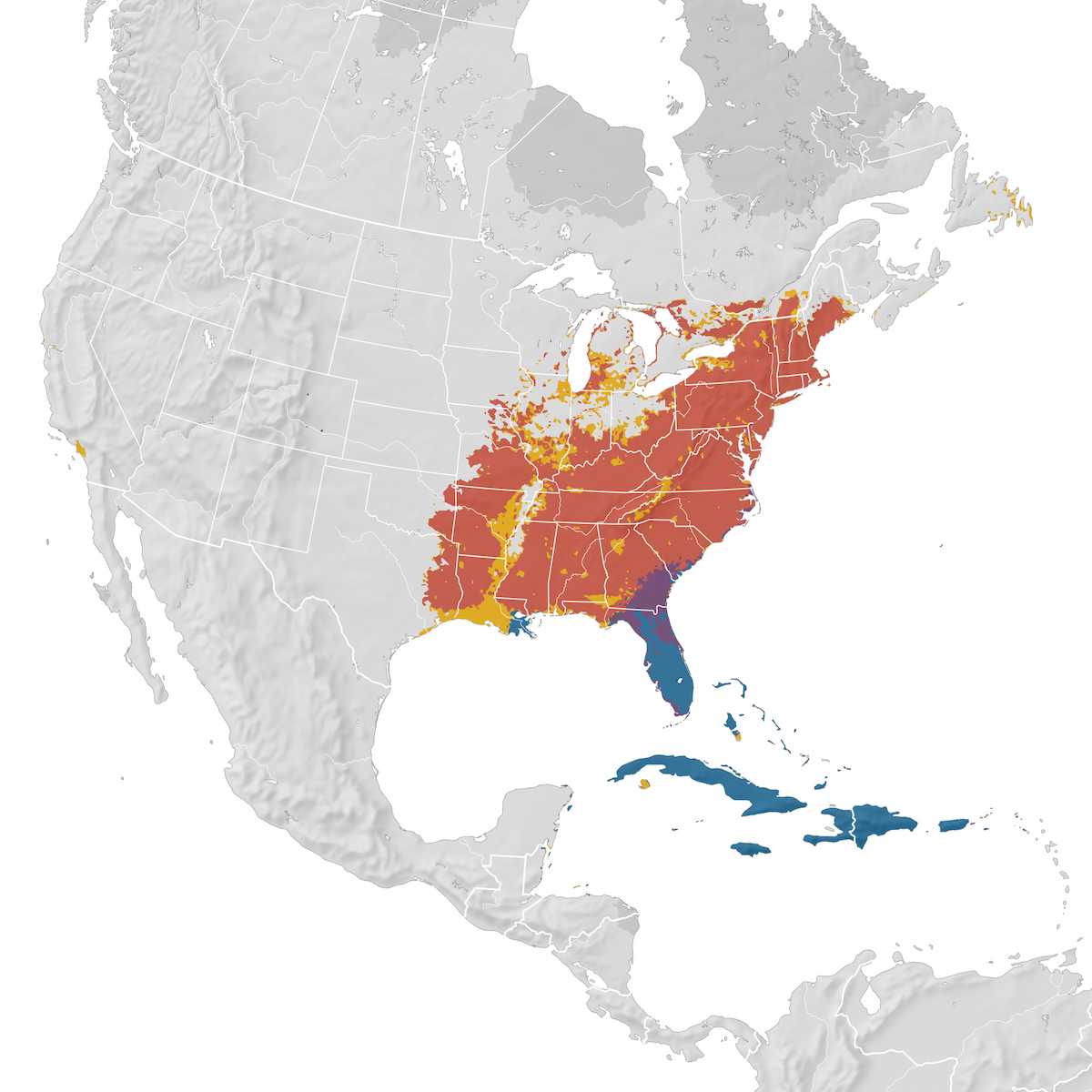 Prairie Warbler - Range Map - EBird Status And Trends