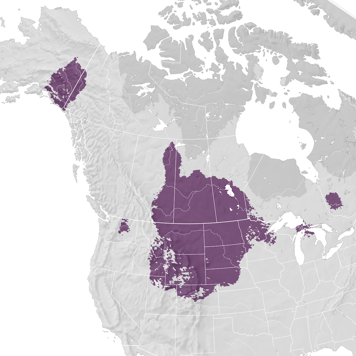 Sharp-tailed Grouse - Range map - eBird Status and Trends