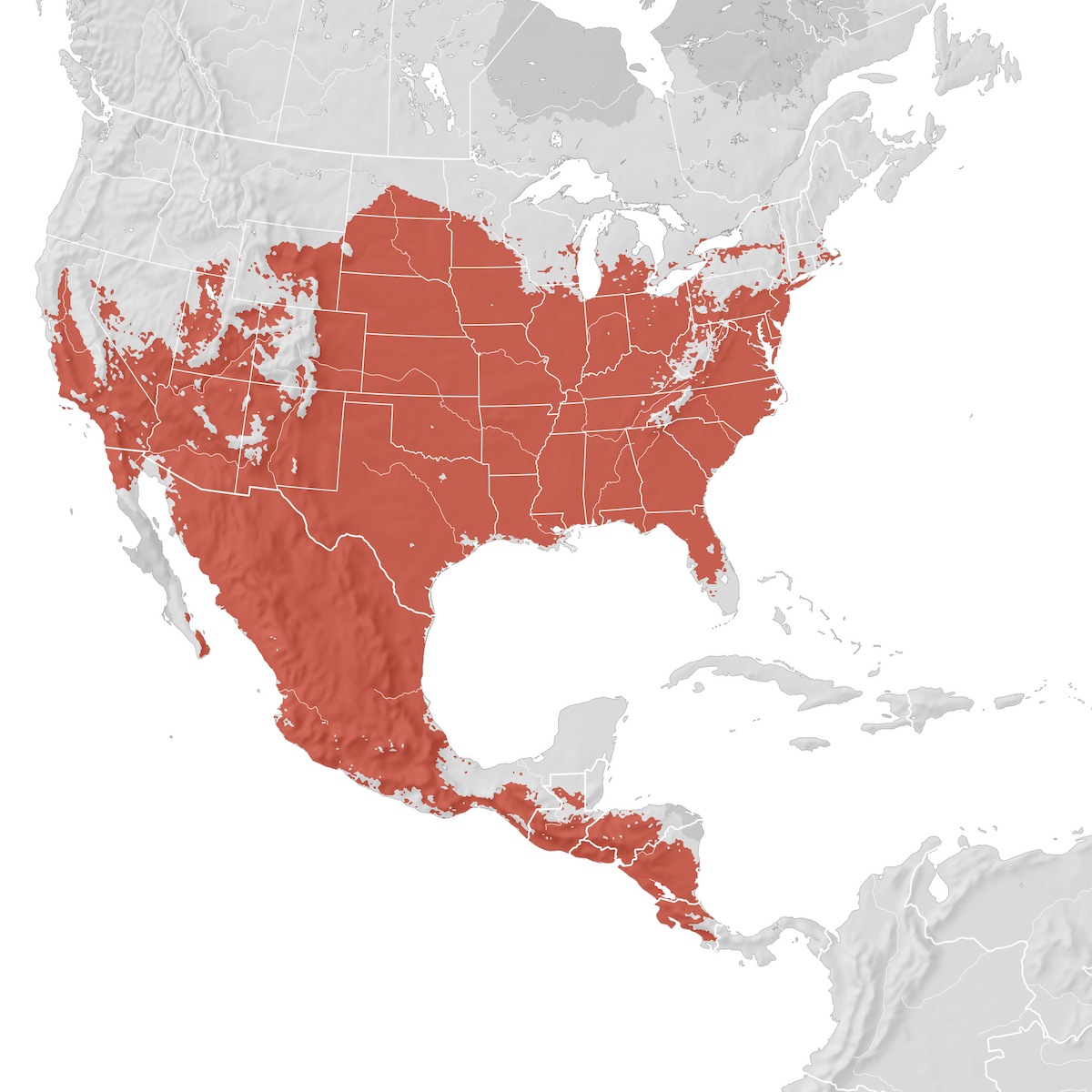 Blue Grosbeak - Range Map: Breeding - EBird Status And Trends