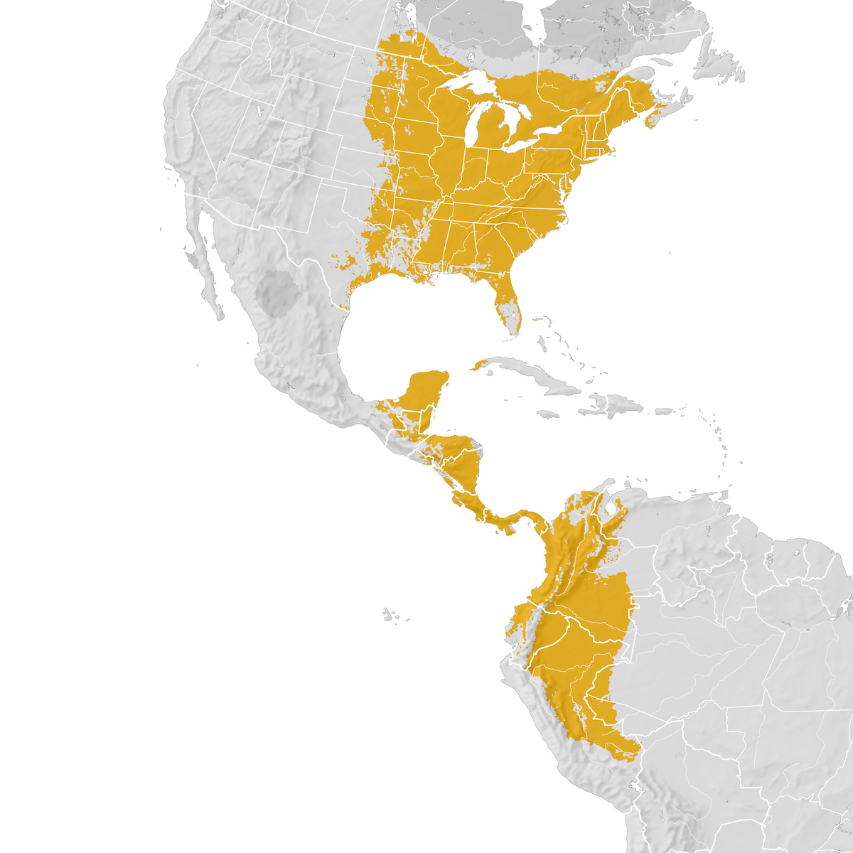 Scarlet Tanager - Range Map: Pre-breeding Migration - EBird Status And ...