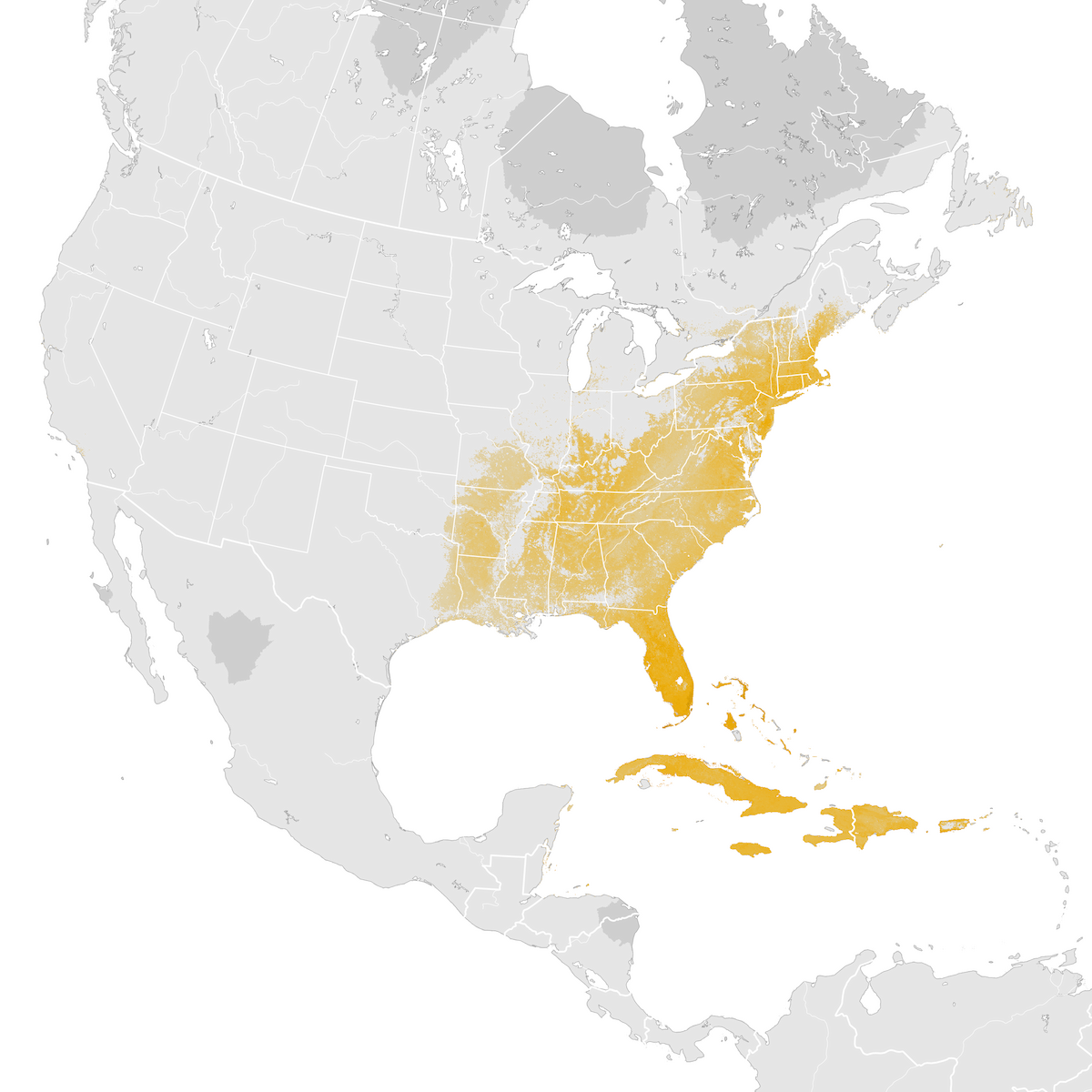 Prairie Warbler Abundance Map Post Breeding Migration Ebird Status And Trends