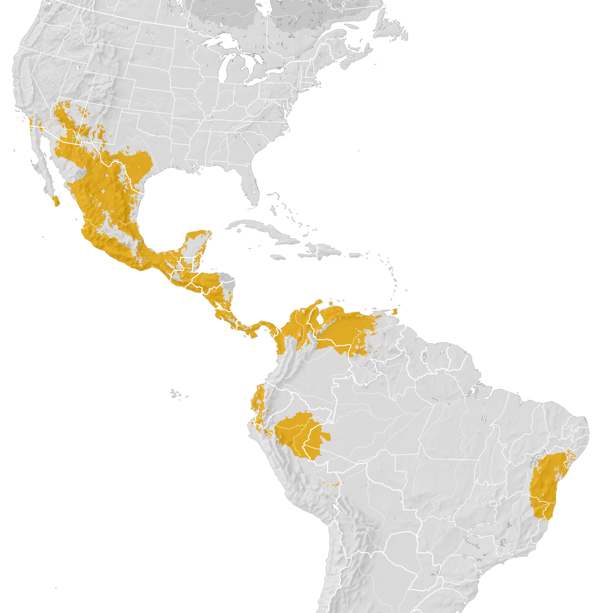 Hawk Range map Postbreeding migration eBird Status