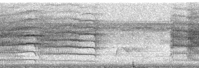 Pabuç Gagalı Tiran [mexicanus grubu] - ML20357