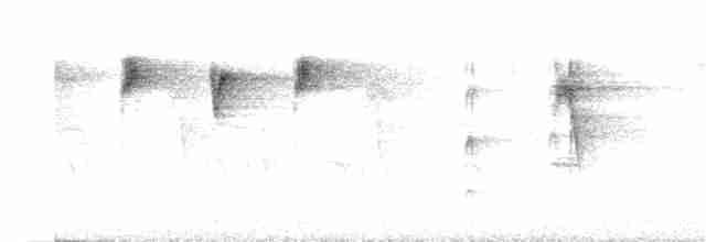 Colibri de Cuvier - ML203605611