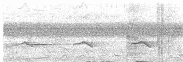 Brush Cuckoo (Australasian) - ML203692211