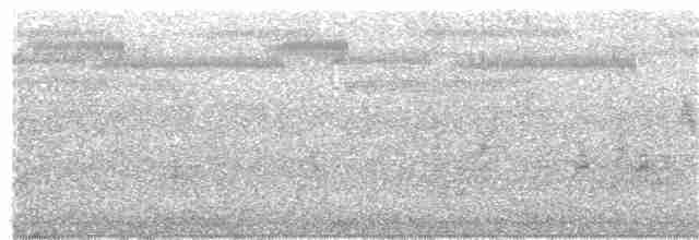 Manchurian Bush Warbler - ML203692941