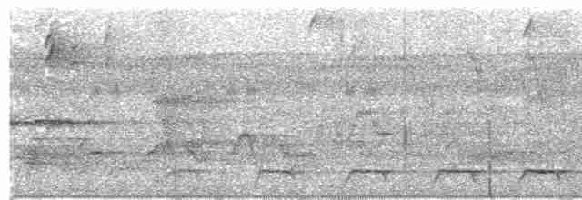 Trogón Violáceo Norteño - ML203693021