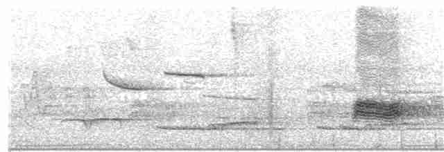 White-throated Thrush (White-throated) - ML203693031