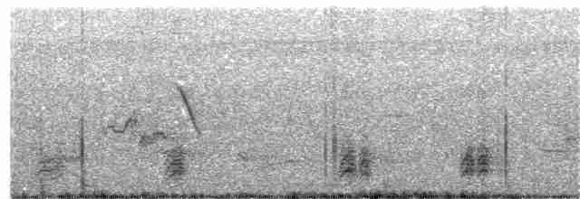 Rufous-naped Wren (Rufous-backed) - ML203693061