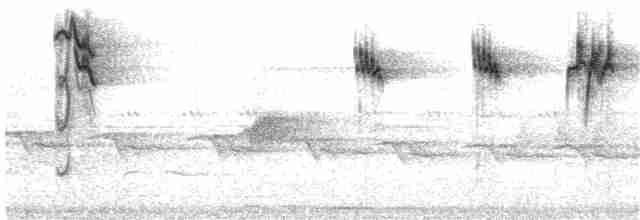 gråfluesnapper (striata gr.) - ML203693551