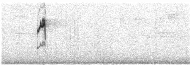 Pipit spioncelle (spinoletta) - ML203693591