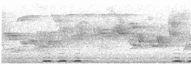 Одуд євразійський [група epops] - ML203693781