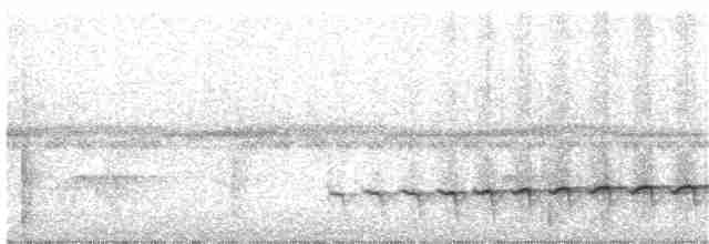 Grallaire à poitrine rousse (ferrugineipectus) - ML203693941