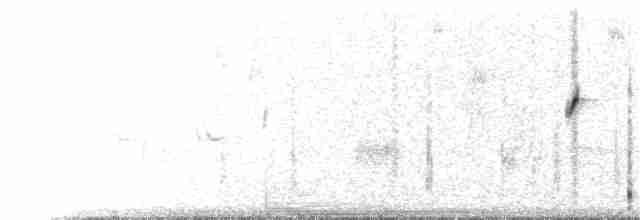 ハジロクロタイランチョウ（aterrimus／anthracinus） - ML203694261