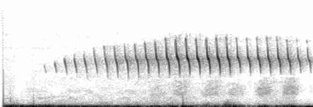 Long-tailed Cinclodes - ML203694811