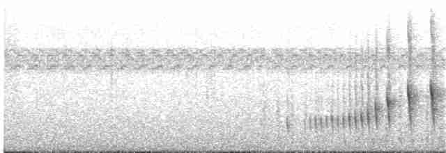 Curve-billed Reedhaunter - ML203695471
