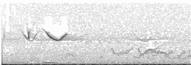 Spot-tailed Nightjar - ML203696081