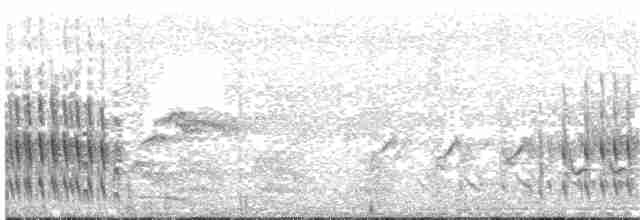 Желтогорлая пищуховая иглохвостка - ML203696111
