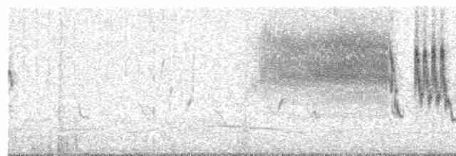 Щеврик короткодзьобий - ML203696141