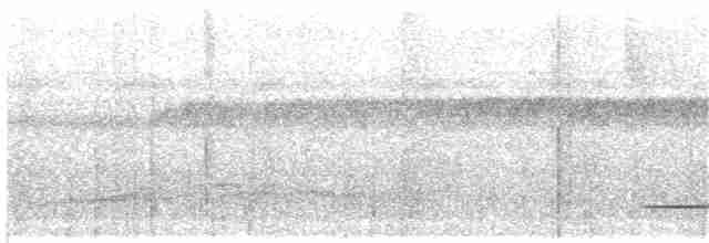 Красногрудый скрытохвост - ML203696361