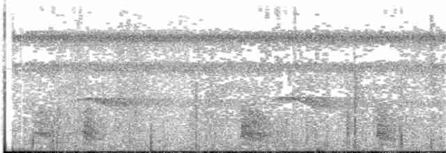 Гусеницеїд чорночеревий - ML203696411