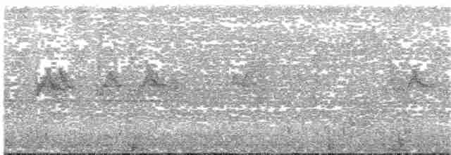 Папуга-горобець темнодзьобий (підвид sclateri) - ML203697091
