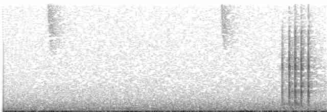 Black-billed Mountain-Toucan - ML203697191