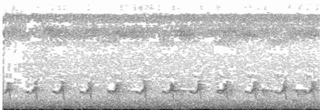Spotted Puffbird - ML203697671
