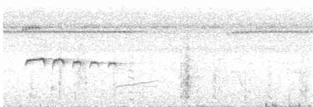 Мурав’янка-куцохвіст плямиста - ML203698201