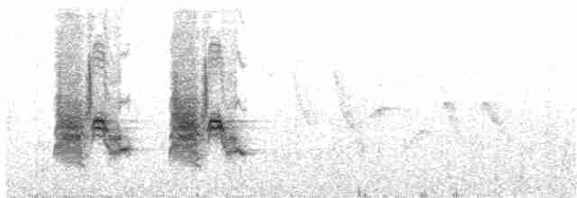 Малый галапагосский вьюрок - ML203698291