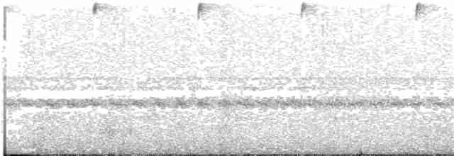 Черноухий колибри [группа melanogenys] - ML203698551