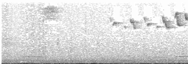 Серогрудый певун - ML203698601