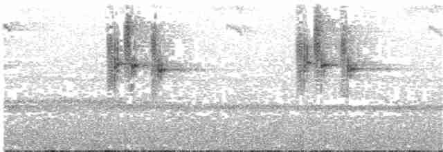 Зелоногрудый фиалкоух (cyanotus/crissalis) - ML203698671