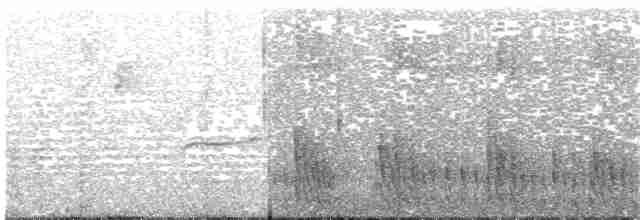 Çizgisiz Yumuşakkuyruk (fusciceps) - ML203698851