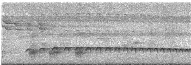 Tüpfelkronen-Ameisenvogel - ML203699061