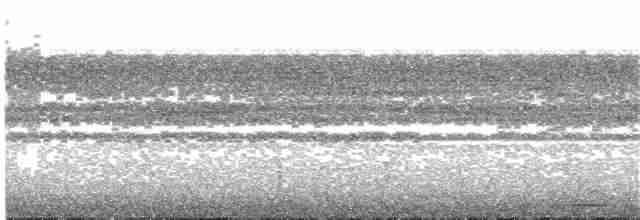 Сплюшка амазонійська (підвид usta) - ML203699361