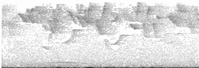 Гвианский колибри-отшельник - ML203699431