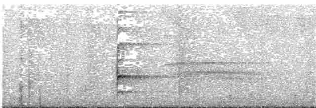Полосатая желна [группа lineatus] - ML203700001