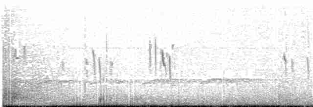 シロオビツバメ - ML203700291