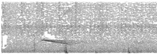 Slaty-capped Shrike-Vireo (Slaty-capped) - ML203700341