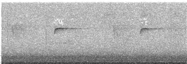 Исполинский колибри - ML203700871