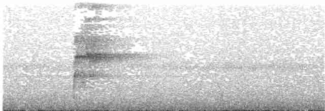 arassari pestrý [skupina torquatus] - ML203701161