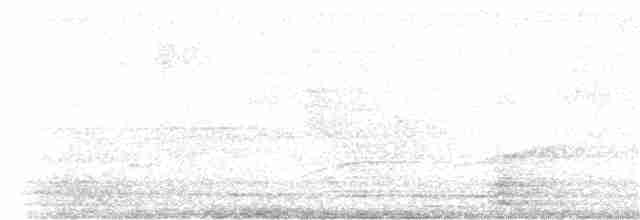 rusthalekolibri (tzacatl gr.) - ML203771811