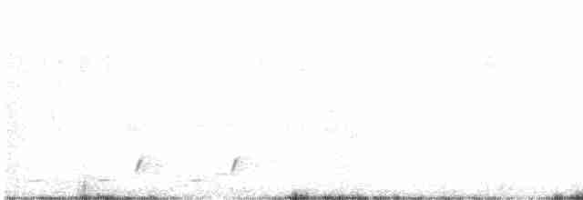 Красногрудый гладиатор - ML203776411