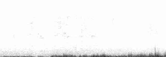 Белобрюхая нектарница - ML203779371