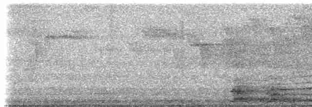 Gray-headed Kite - ML203783681
