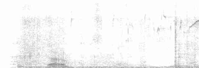 Narina Trogonu - ML203805351